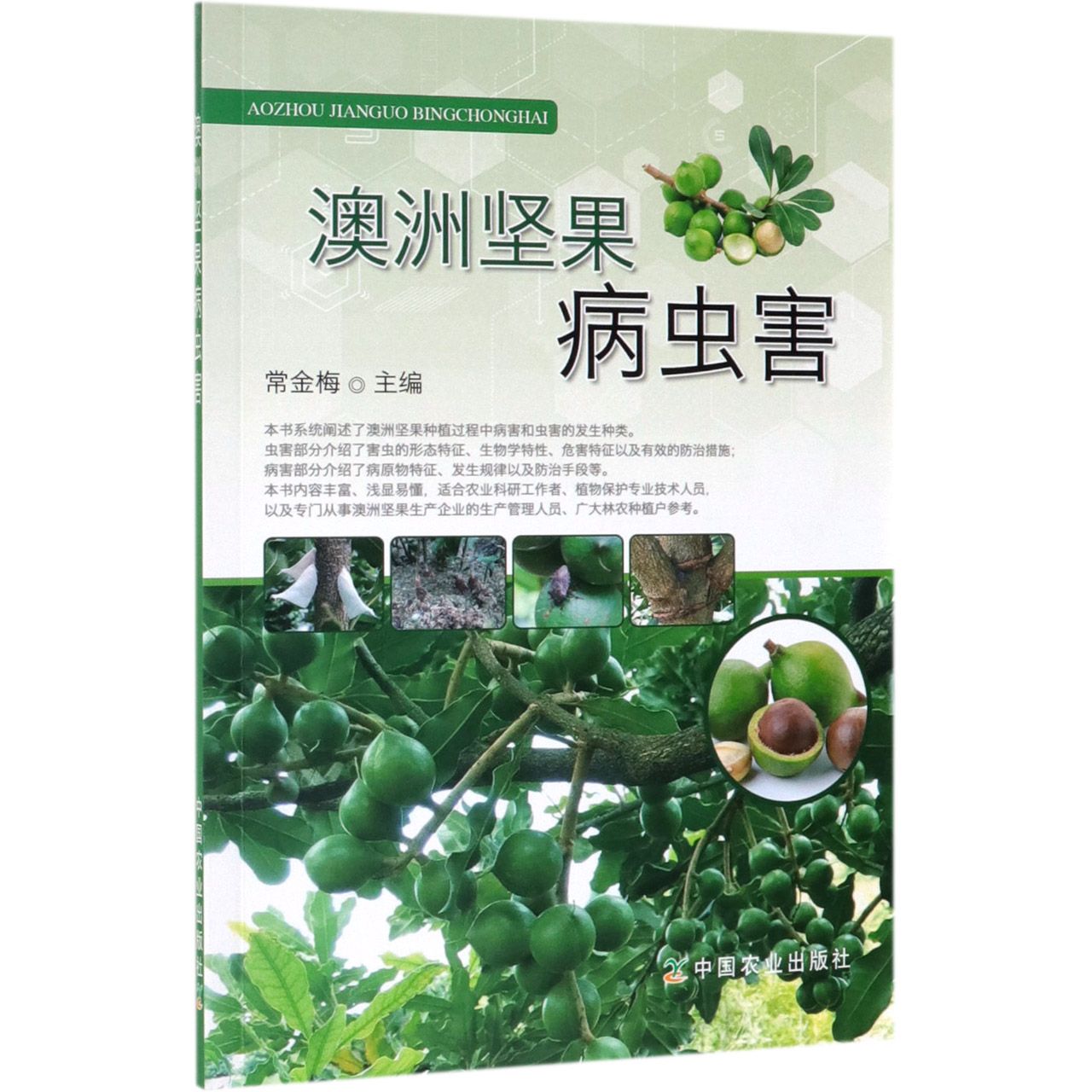 澳洲坚果病虫害