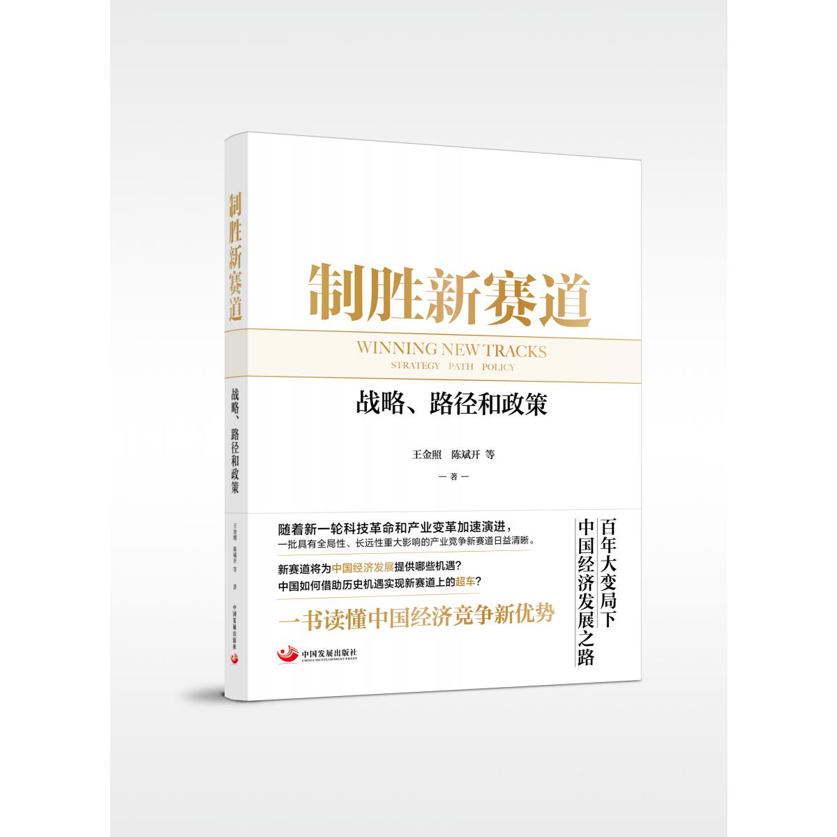 制胜新赛道：战略、路径和政策