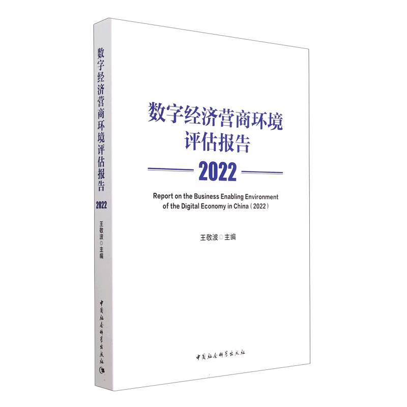 数字经济营商环境评估报告