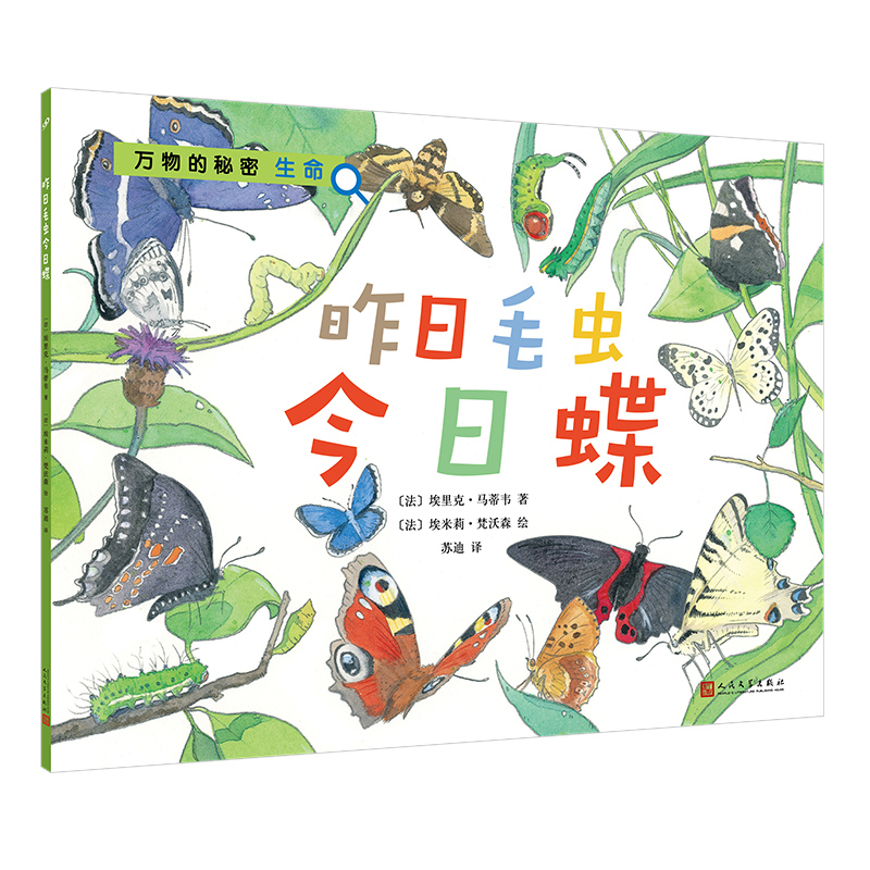 昨日毛虫今日蝶/万物的秘密