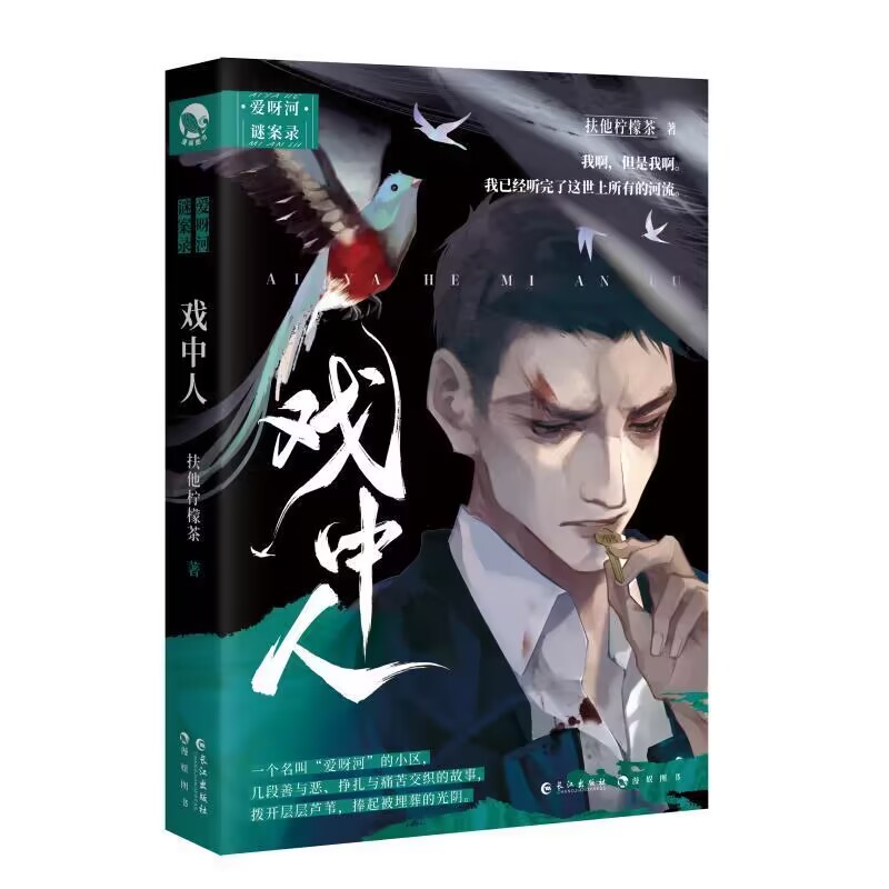 戏中人 普通版飞机盒（新）