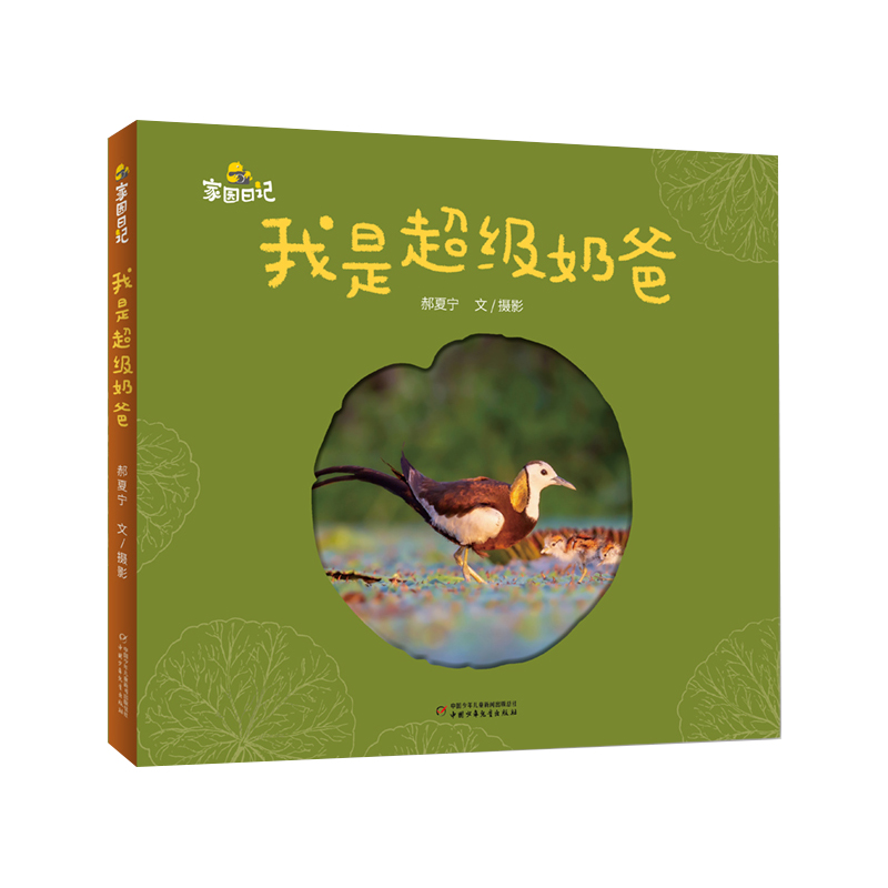 家园日记——我是超级奶爸