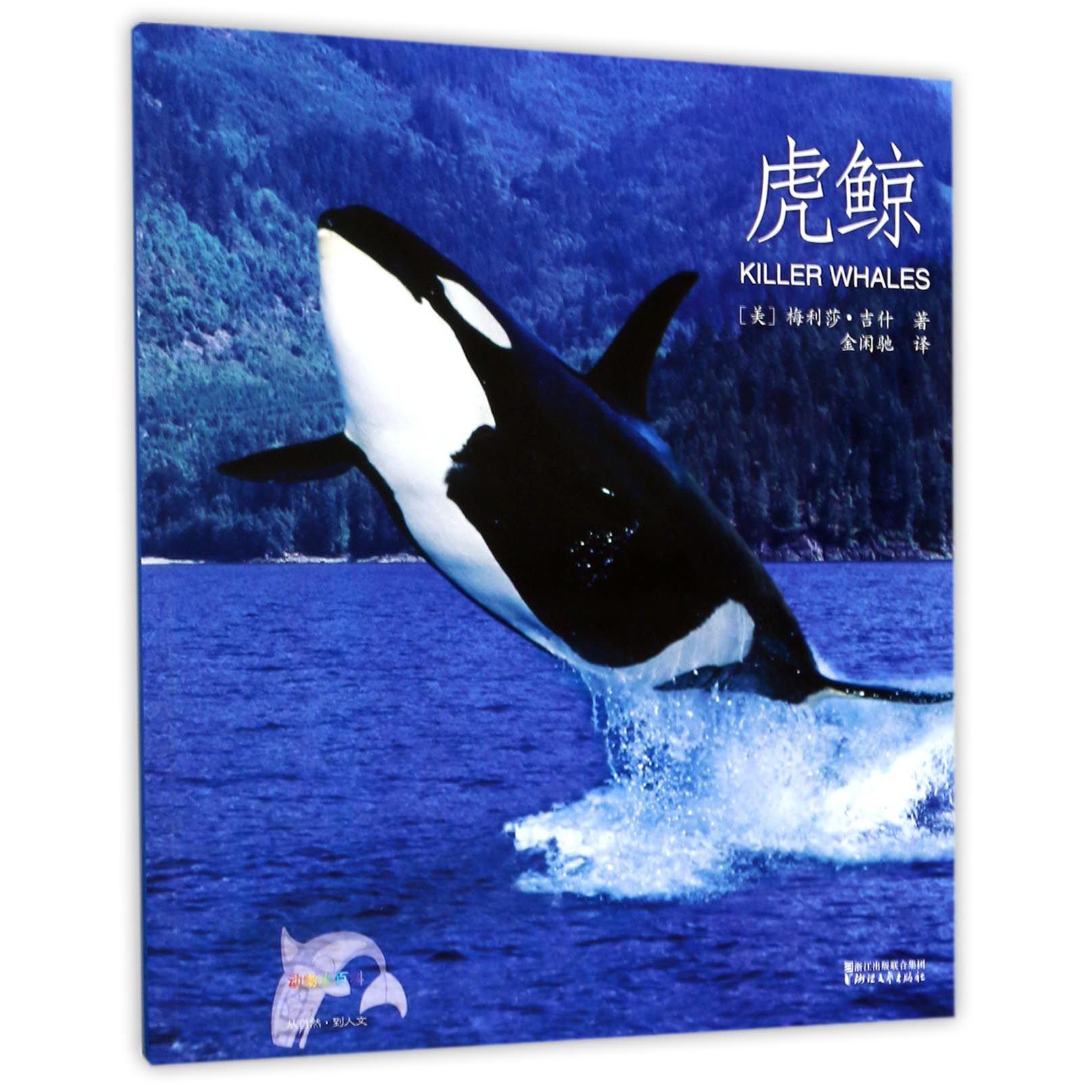 虎鲸/动物小百科