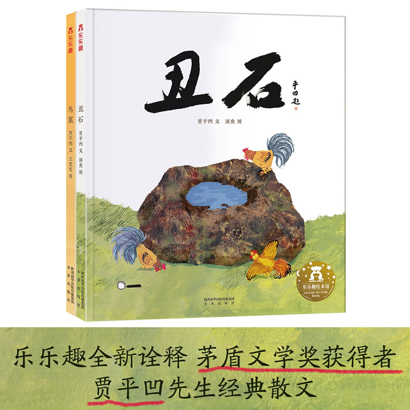 丑石(精)
