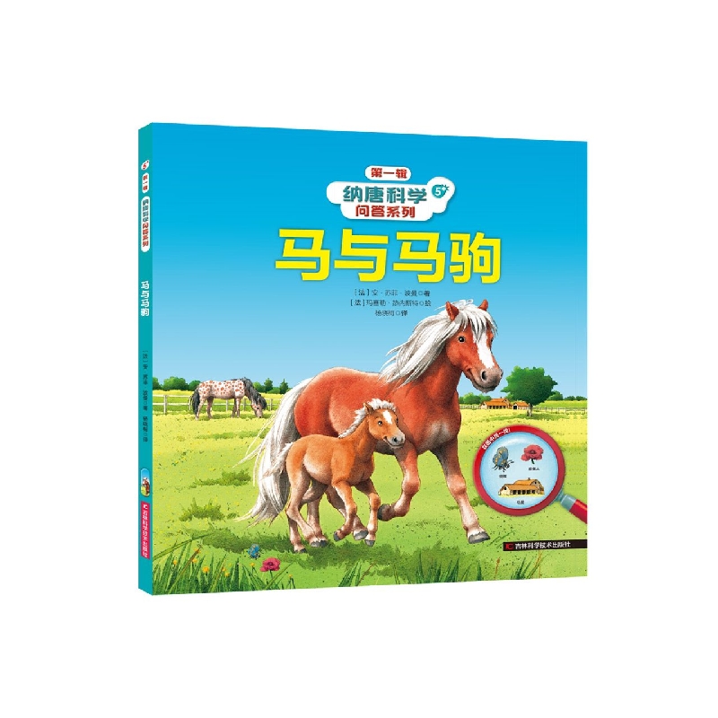 纳唐科学问答系列-马与马驹