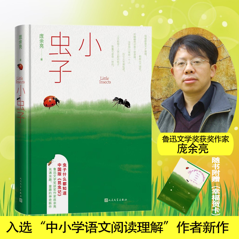 小虫子