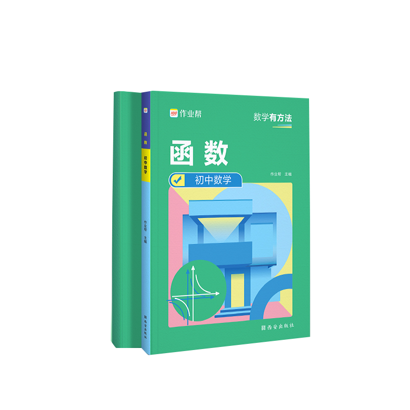 函数 初中数学