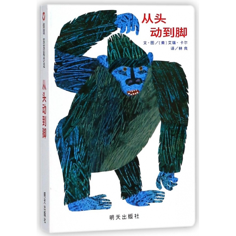 从头动到脚