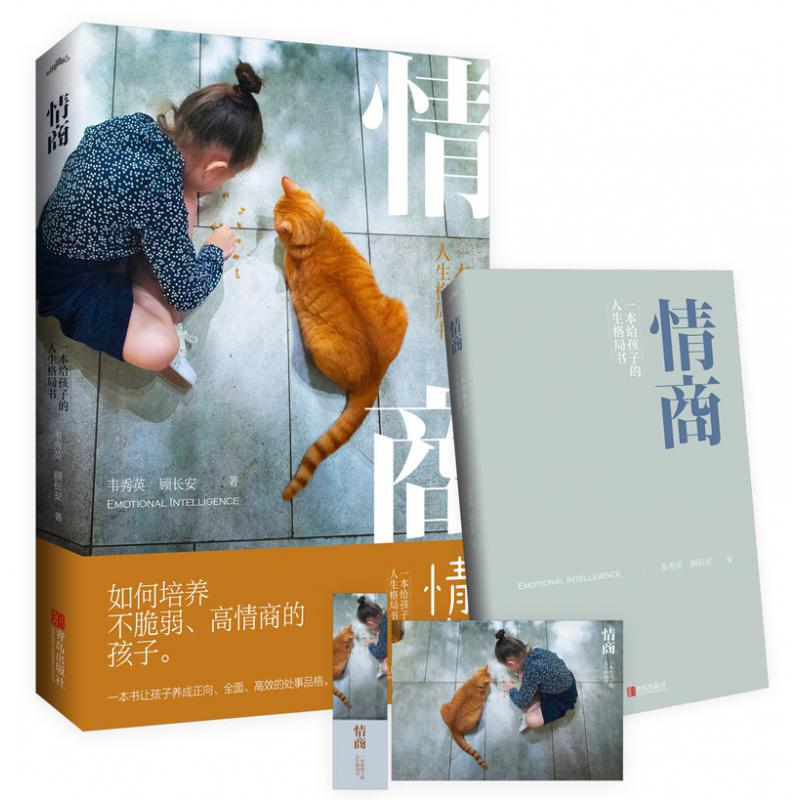 情商：一本给孩子的人生格局书
