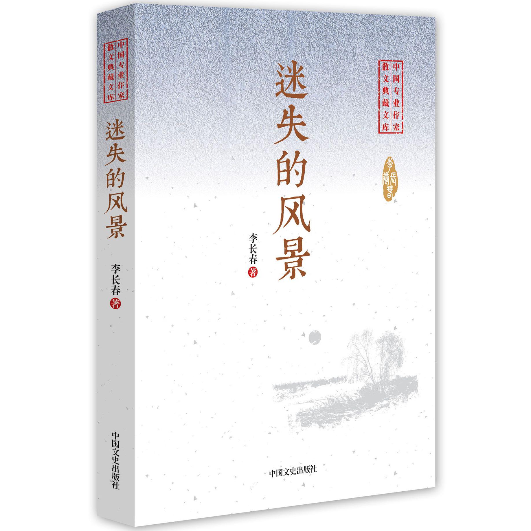 迷失的风景/中国专业作家散文典藏文库