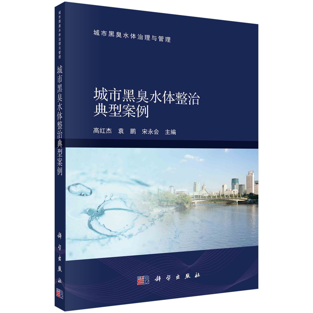 城市黑臭水体整治典型案例/城市黑臭水体治理与管理