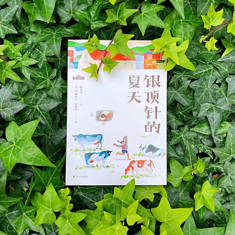 银顶针的夏天(2023)