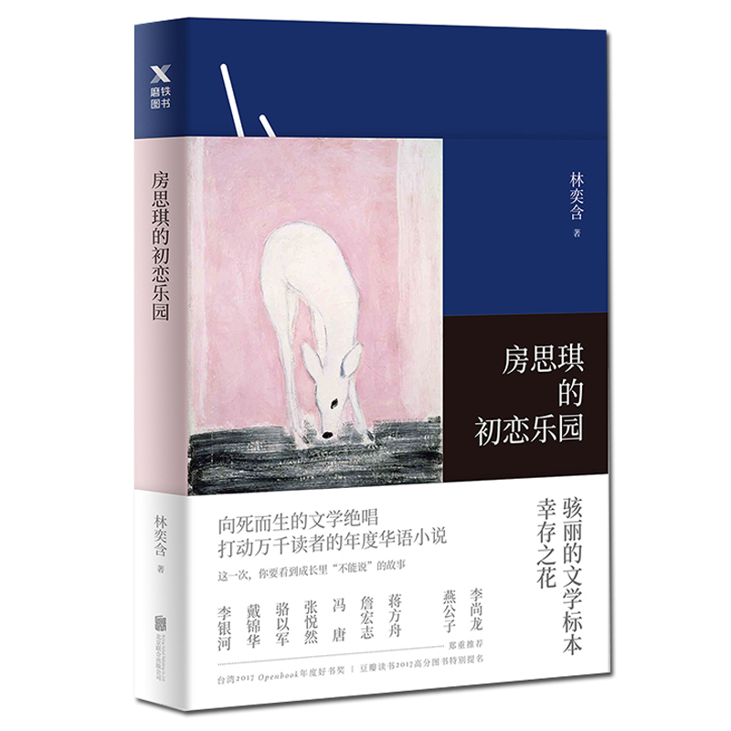 房思琪的初恋乐园 附小册子