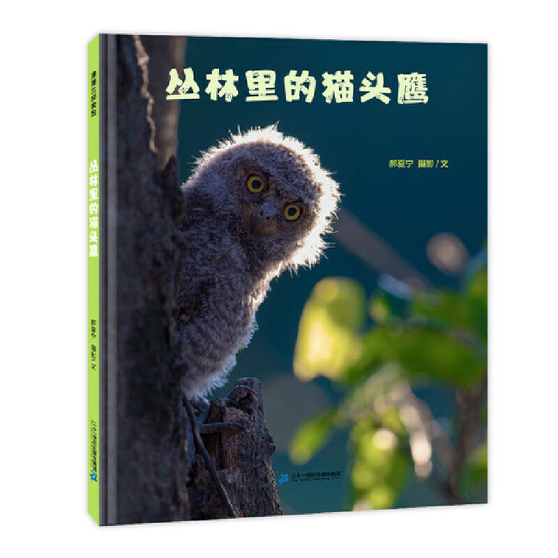丛林里的猫头鹰（精）