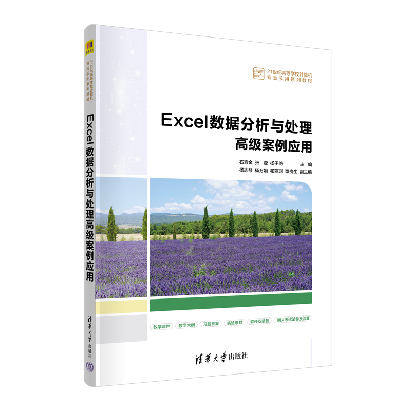 Excel数据分析与处理高级案例应用（21世纪高等学校计算机专业实用系列教材）