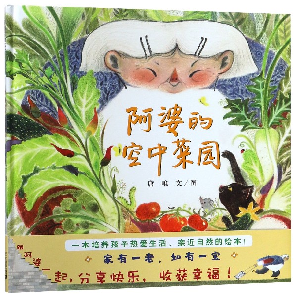 阿婆的空中菜园(精)