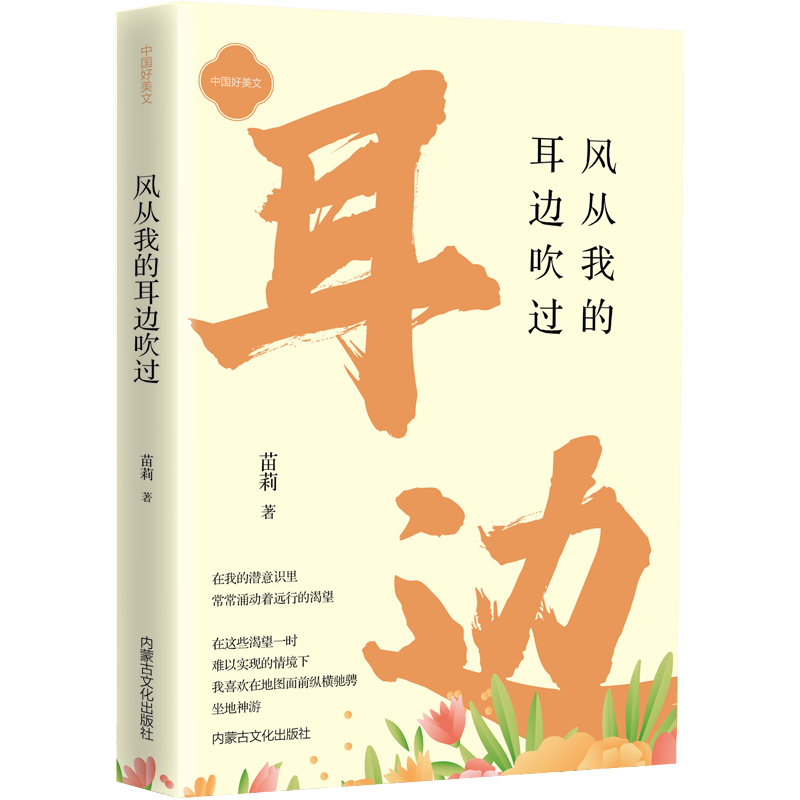 风从我的耳边吹过