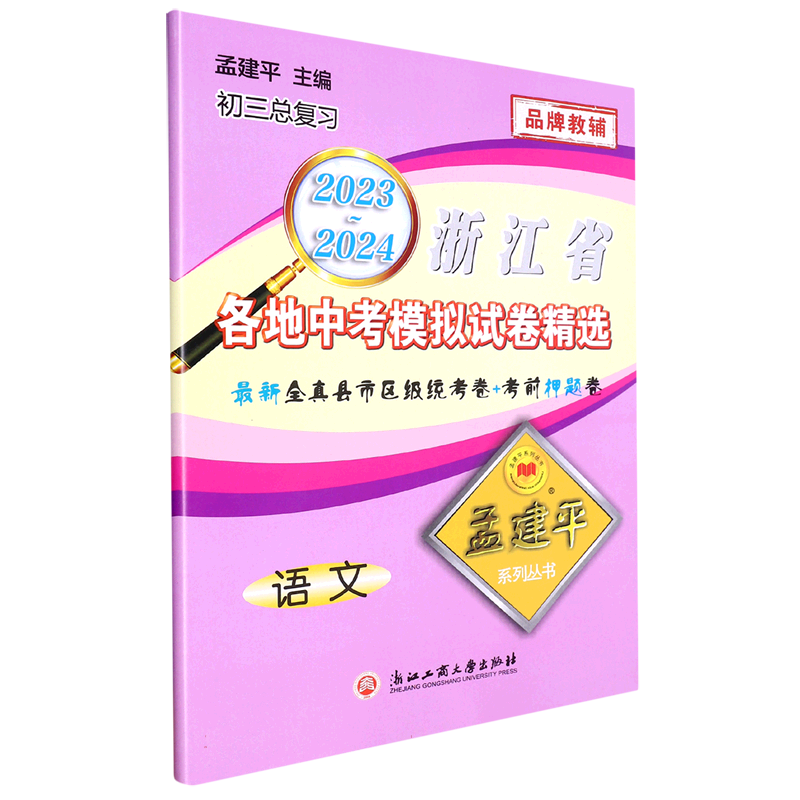 2023-2024各地中考模拟试卷精选语文