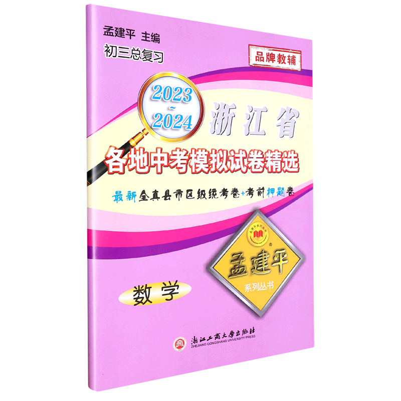 2023-2024各地中考模拟试卷精选数学