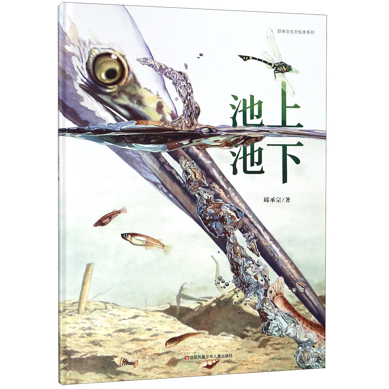 池上池下(精)/邱承宗生态绘本系列