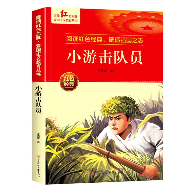赓续红色血脉·爱国主义教育丛书—小游击队员