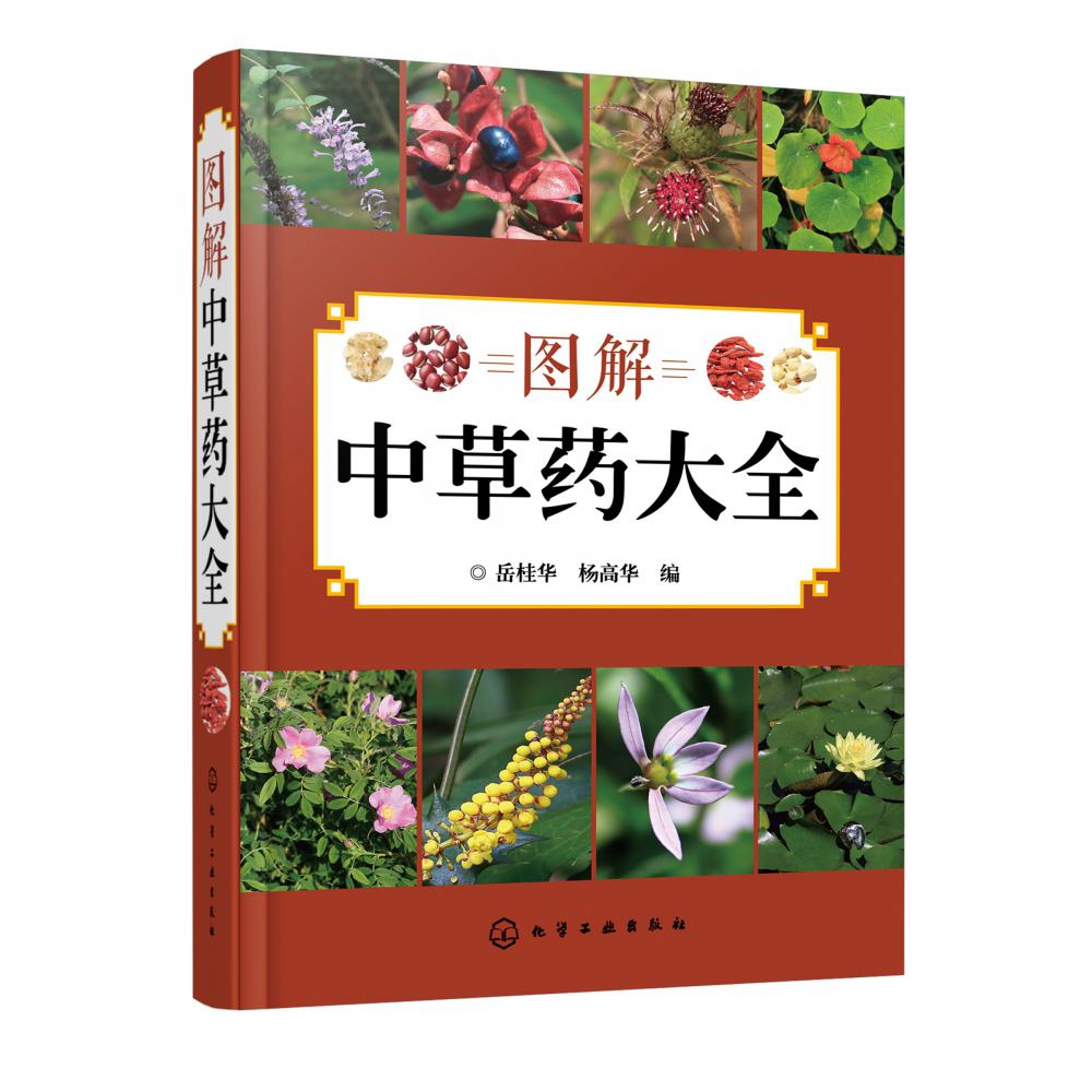 图解中草药大全
