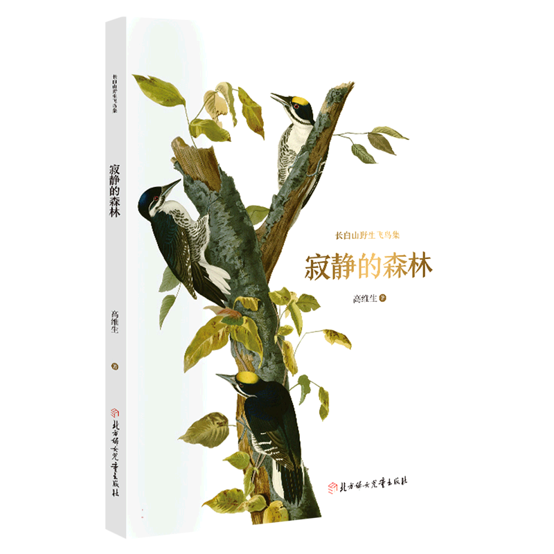长白山野生飞鸟集—寂静的森林