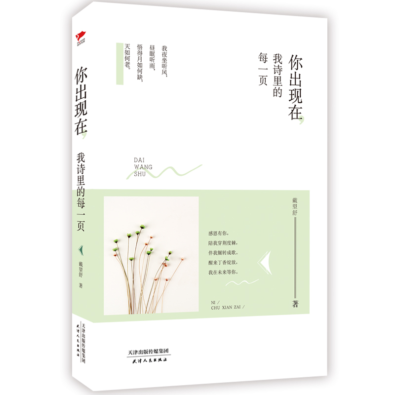 你出现在我诗里的每一页(精)