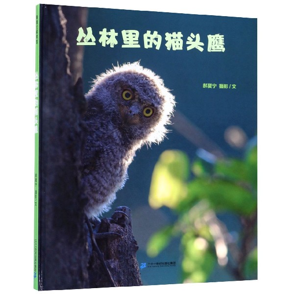 丛林里的猫头鹰(精)