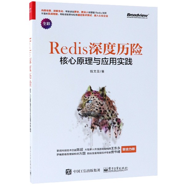 Redis深度历险(核心原理与应用实践全彩)