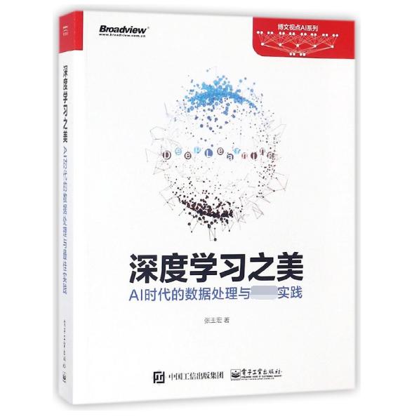 深度学习之美(AI时代的数据处理与最佳实践)/博文视点AI系列