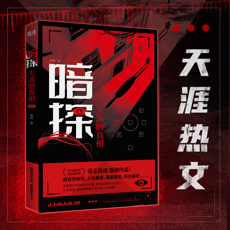 暗探:失落的真相