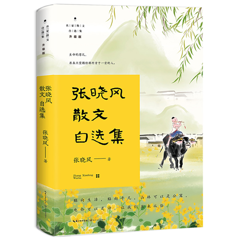 张晓风散文自选集（名家散文自选集 升级版）