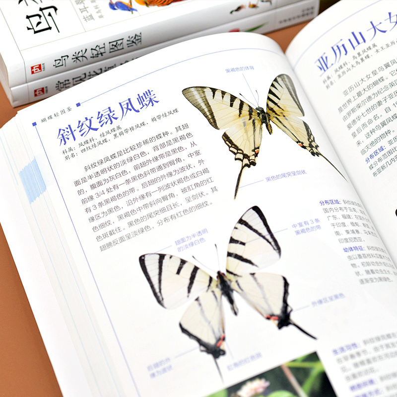 蝴蝶轻图鉴+鸟类轻图鉴+常见花草轻图鉴（全3册）