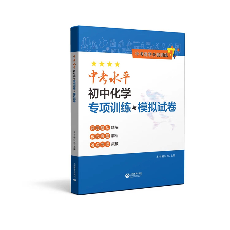中考水平初中化学专项训练与模拟试卷
