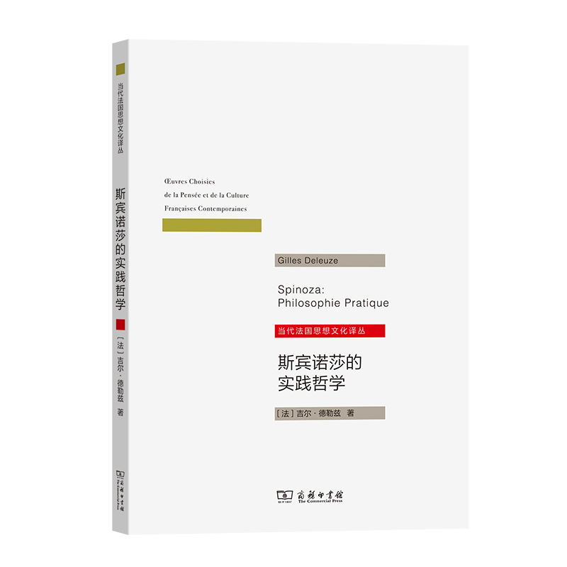 斯宾诺莎的实践哲学/当代法国思想文化译丛