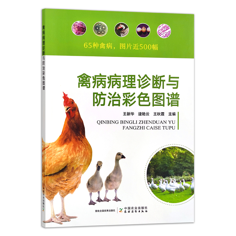 禽病病理诊断与防治彩色图谱