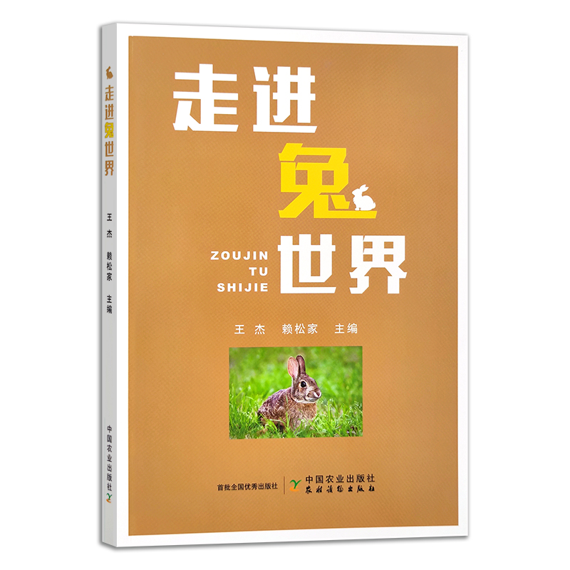 走进兔世界