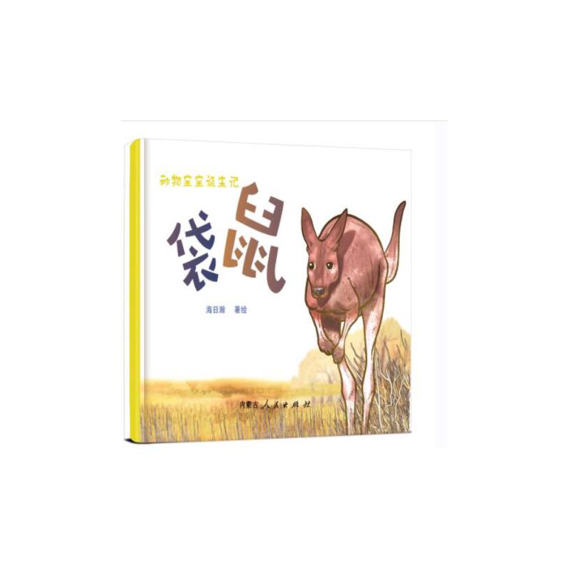 动物宝宝诞生记——袋鼠