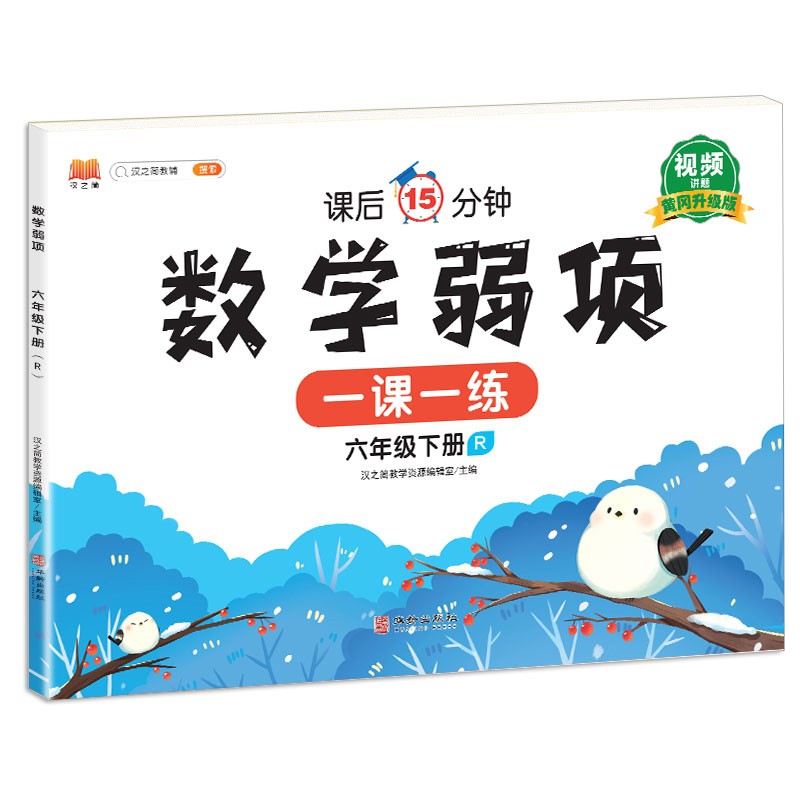 数学弱项 六年级 下册