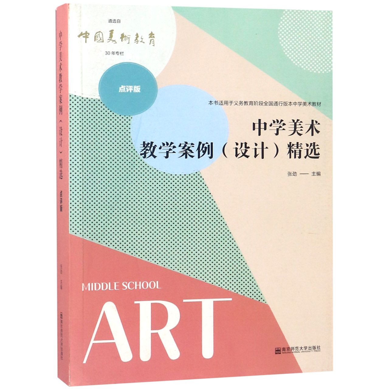 中学美术教学案例精选（点评版）