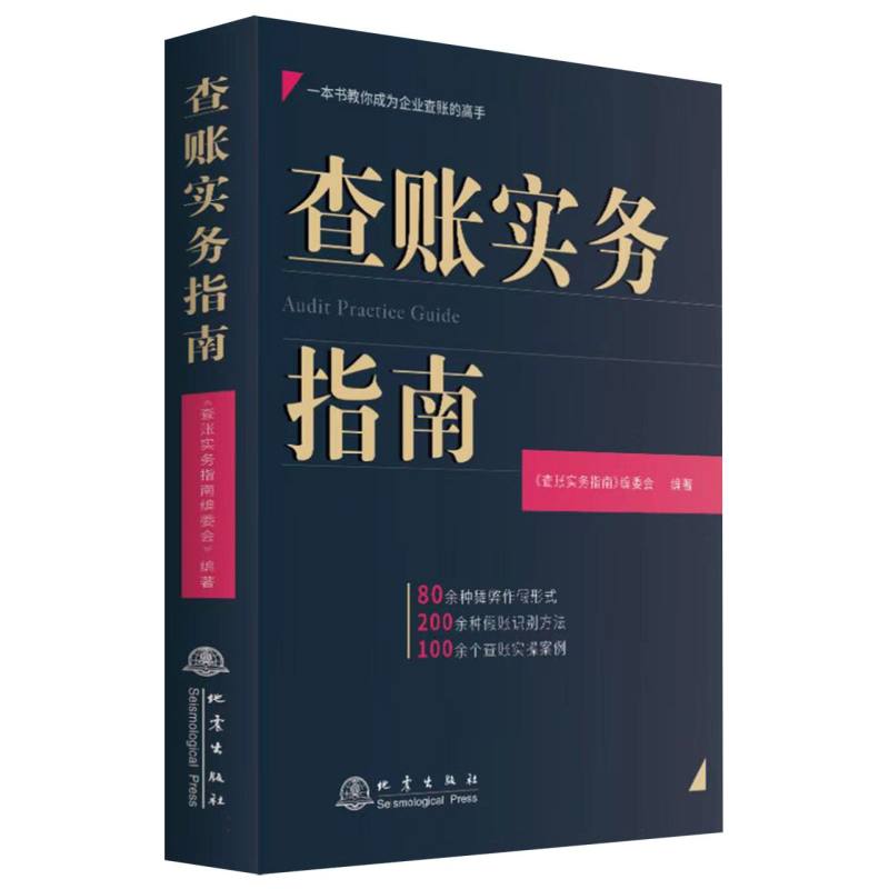查账实务指南