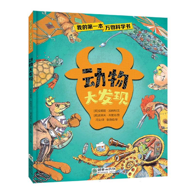 动物大发现
