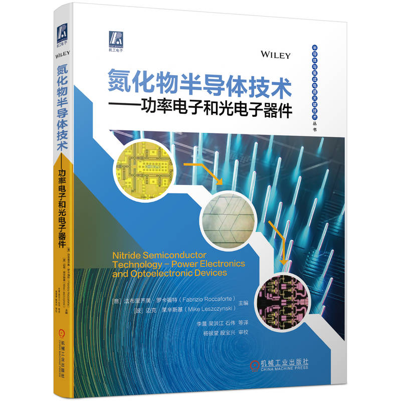 氮化物半导体技术——功率电子和光电子器件