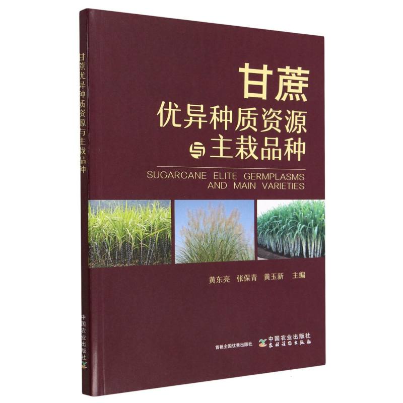 甘蔗优异种质资源与主栽品种