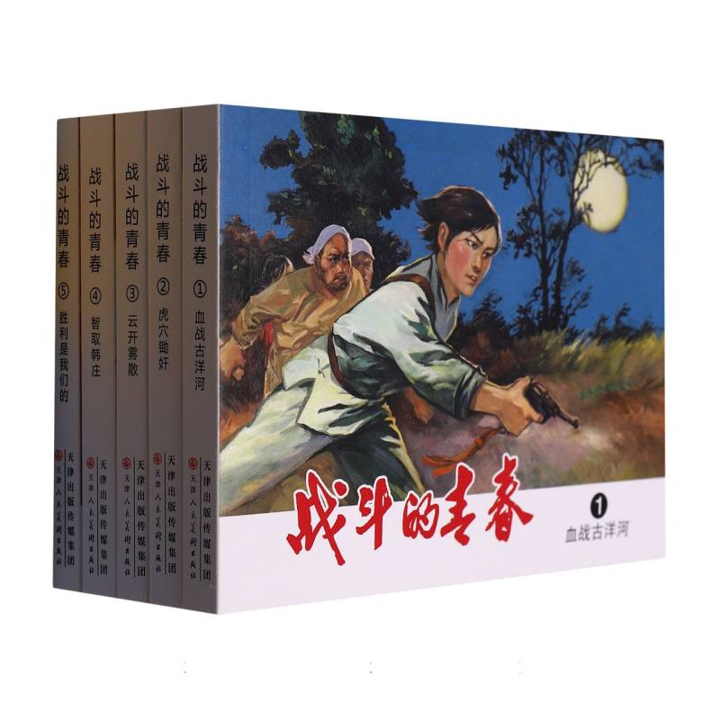 战斗的青春（共5册）