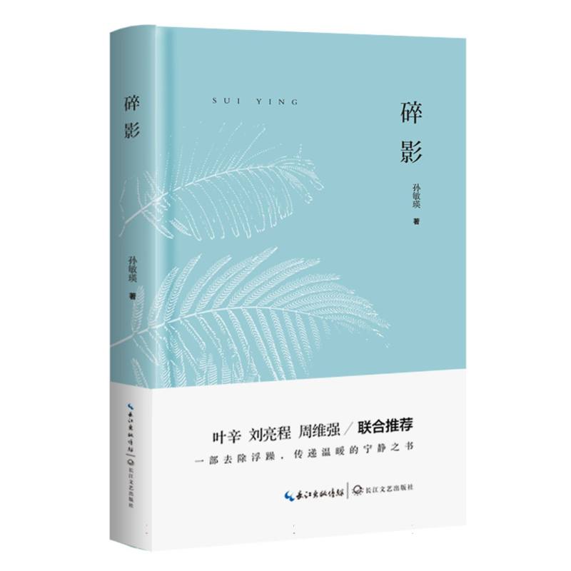 碎影（精）