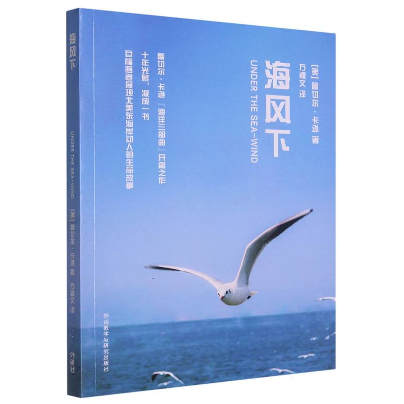 海风下（青少年科学素养文库新版）