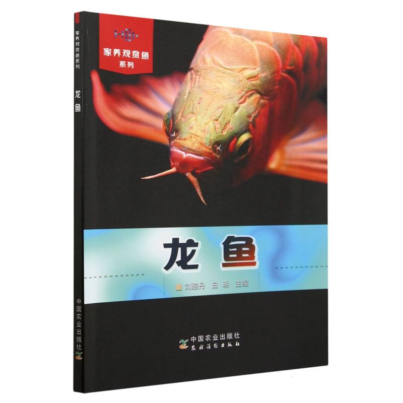 龙鱼（家养观赏鱼系列）