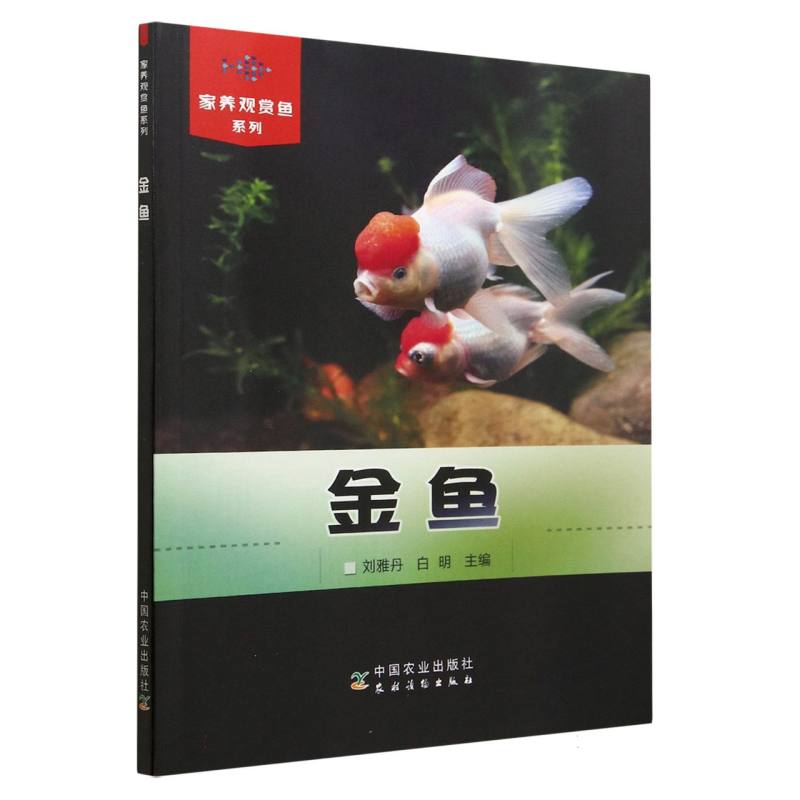 金鱼（家养观赏鱼系列）